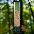 Bird Feeder Squirrel Proof Hanging Design with Weight Activated Perch for Garden