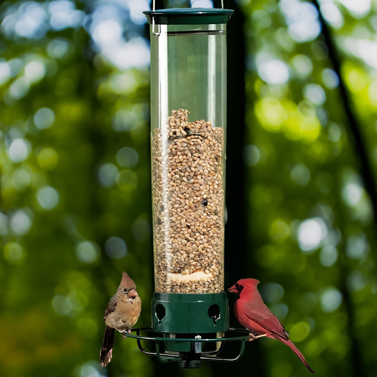 Bird Feeder Squirrel Proof Hanging Design with Weight Activated Perch for Garden