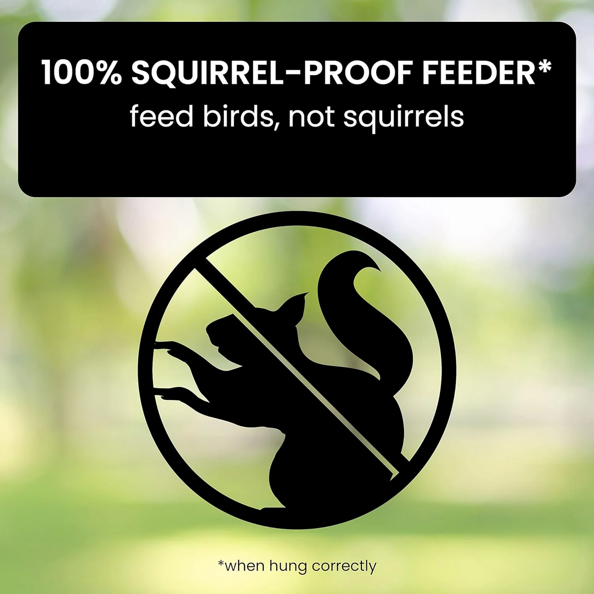 Bird Feeder Squirrel Proof Hanging Design with Weight Activated Perch for Garden