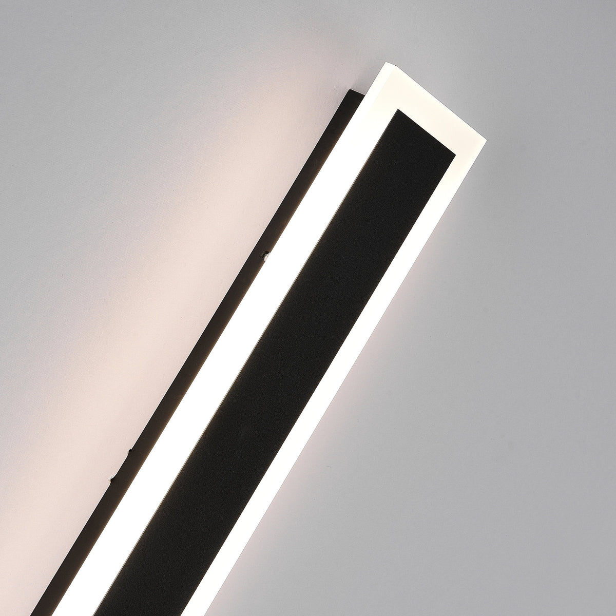 Wall Light Outdoor LED Lamp with Transparent Acrylic Pane and Weather Resistant Finish
