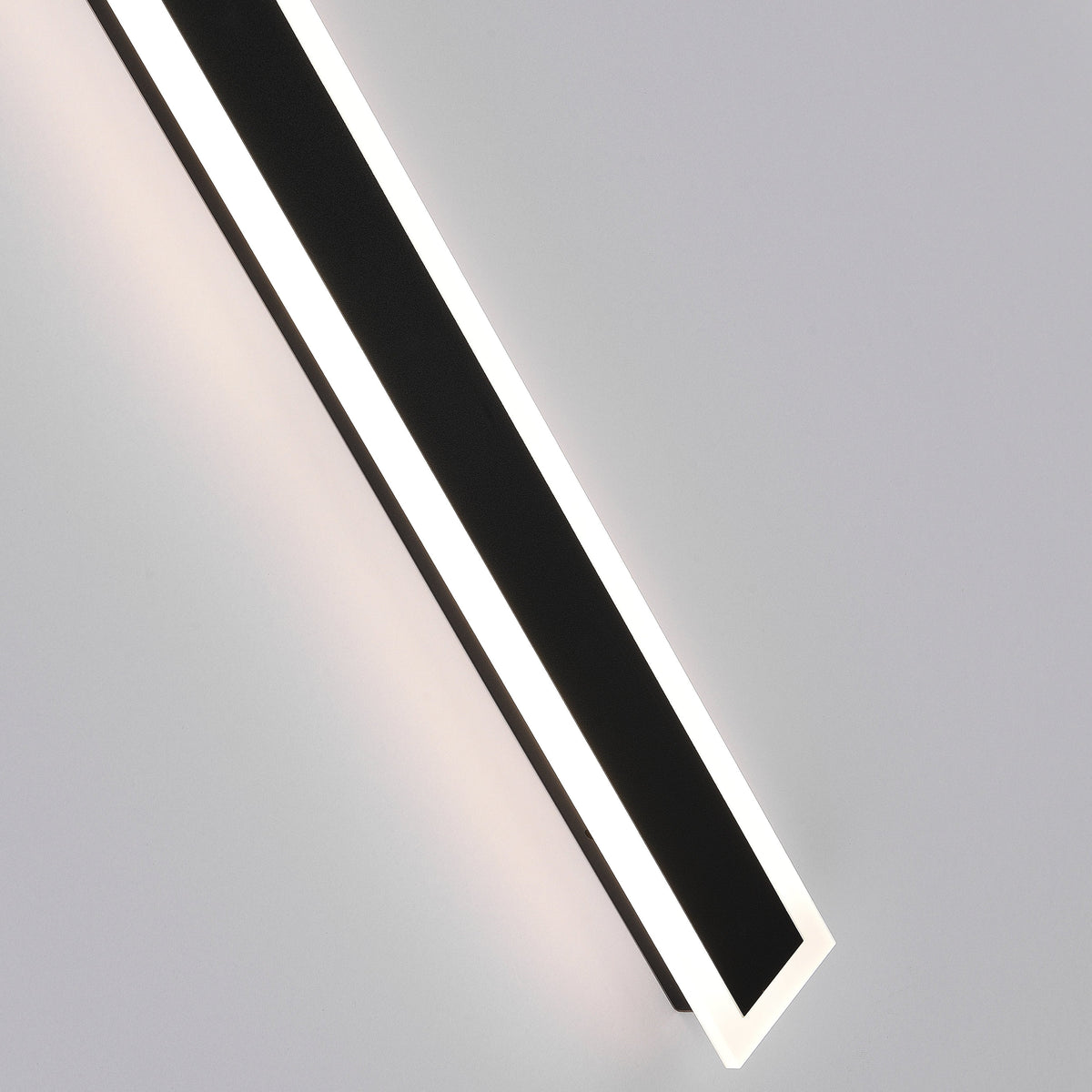 Wall Light Outdoor LED Lamp with Transparent Acrylic Pane and Weather Resistant Finish