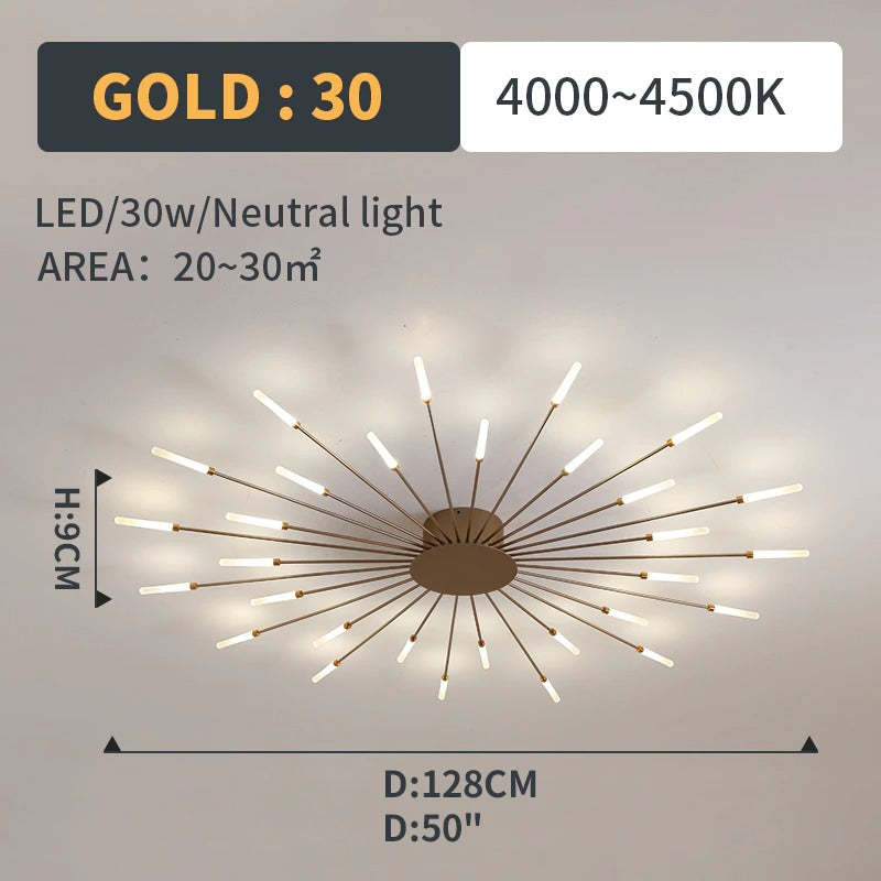 Ceiling Light Flush Mount LED with Linear Spiral Burst Design for Living Room