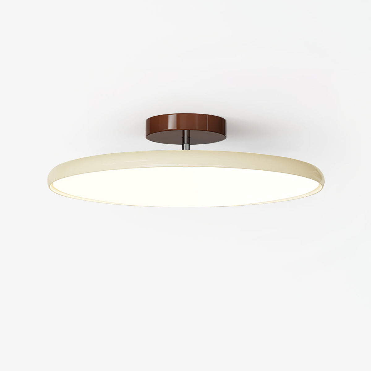Ceiling Light Fixture Flush Mount LED with Adjustable Lamp Heads for Bedroom