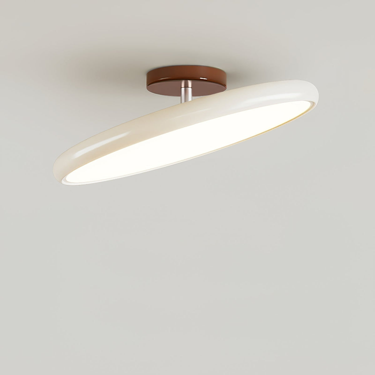 Ceiling Light Fixture Flush Mount LED with Adjustable Lamp Heads for Bedroom