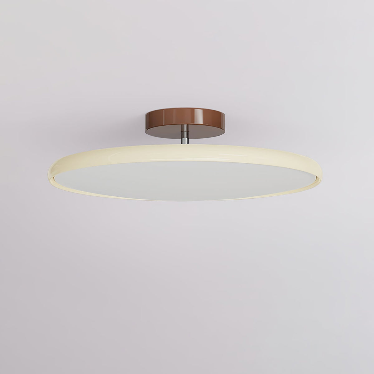 Ceiling Light Fixture Flush Mount LED with Adjustable Lamp Heads for Bedroom