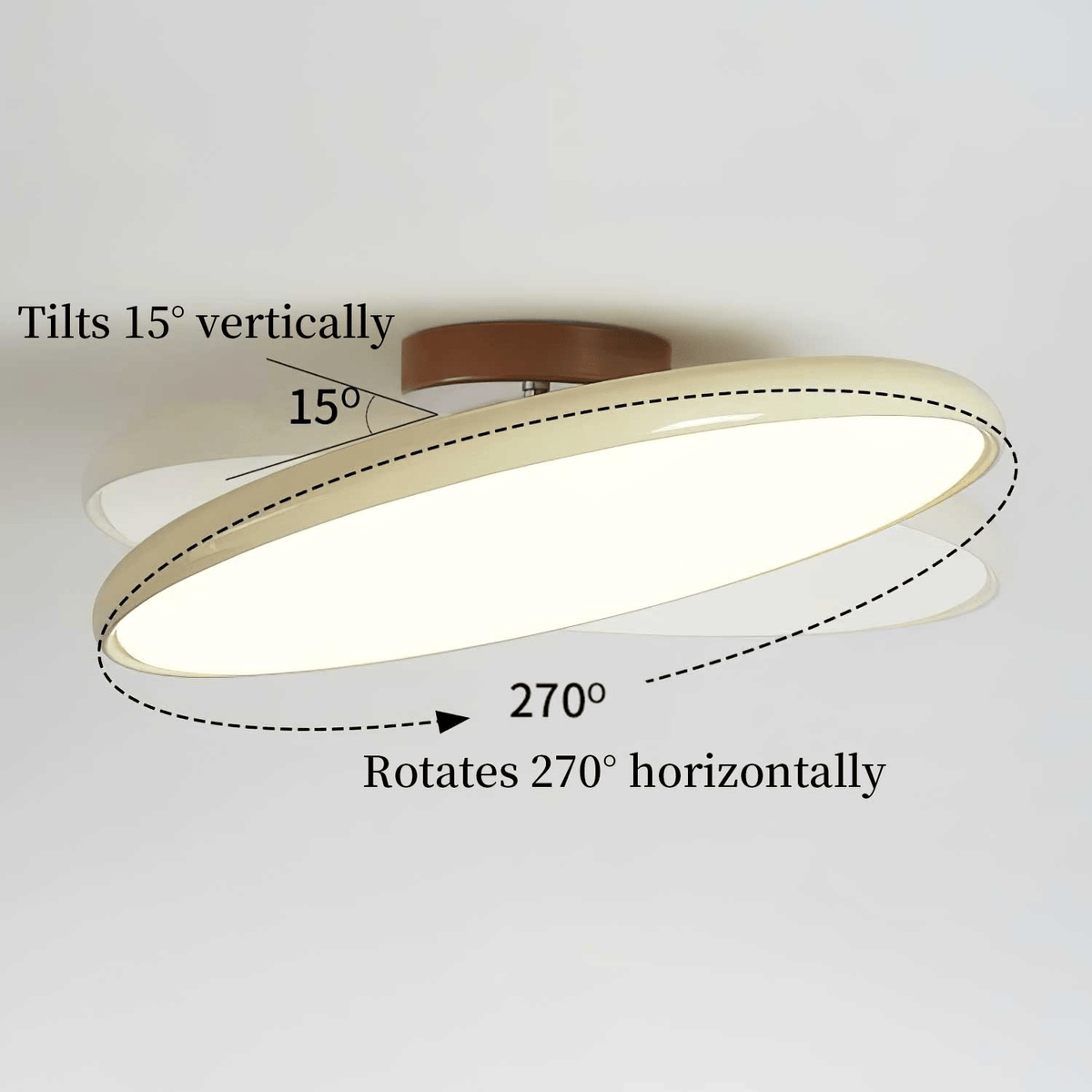 Ceiling Light Fixture Flush Mount LED with Adjustable Lamp Heads for Bedroom