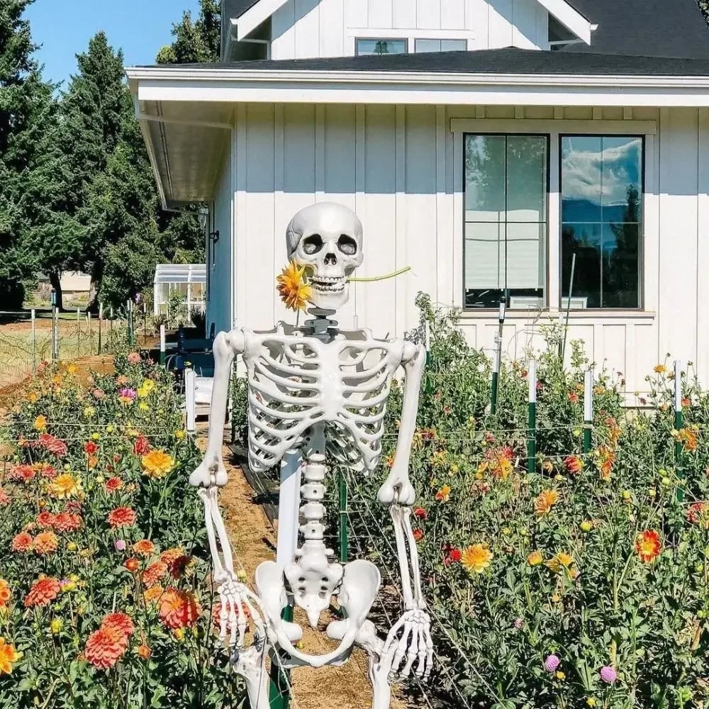 Halloween Decorations Outdoor Posable Skeleton Figurine with Movable Joints for Gardens
