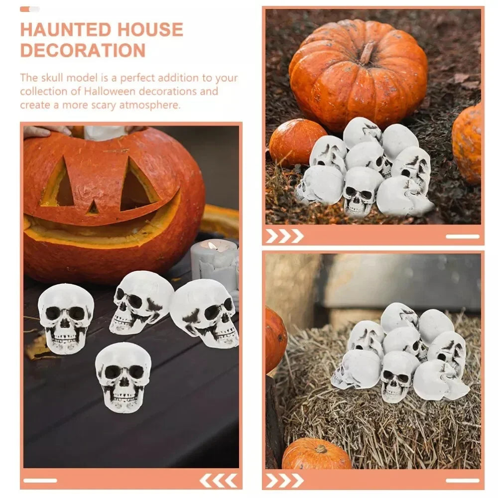 Halloween Skeleton Decorations Mini White Skull Set for Mantels Shelves and Dessert Tables