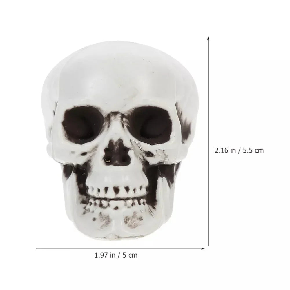 Halloween Skeleton Decorations Mini White Skull Set for Mantels Shelves and Dessert Tables