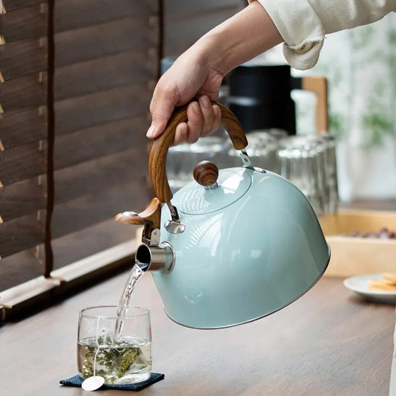 Whistling Kettle Stainless Steel Stovetop with Insulated Handle for Induction Hobs