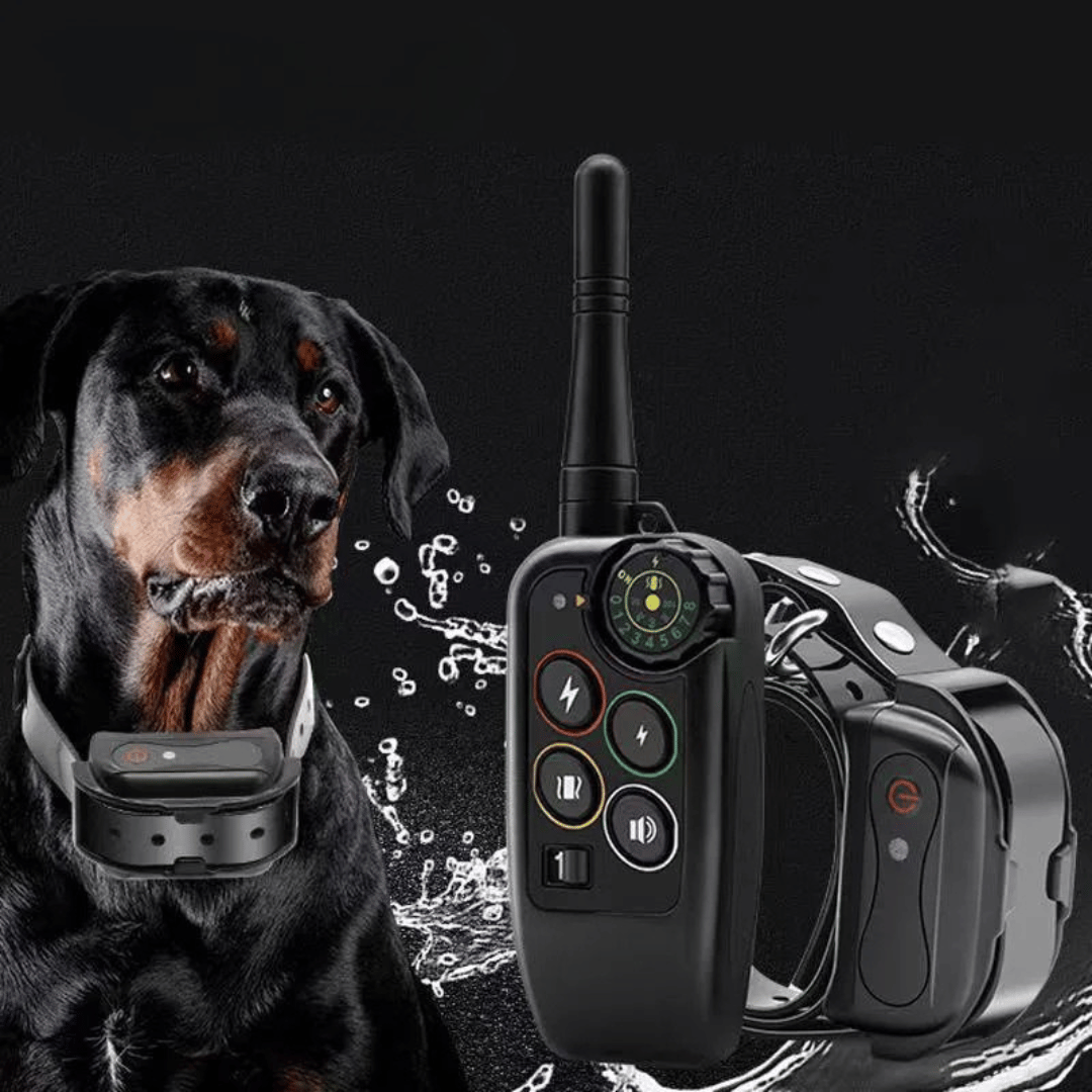 Dog Training Collar Waterproof with 1000 m Remote Range and Rechargeable Battery