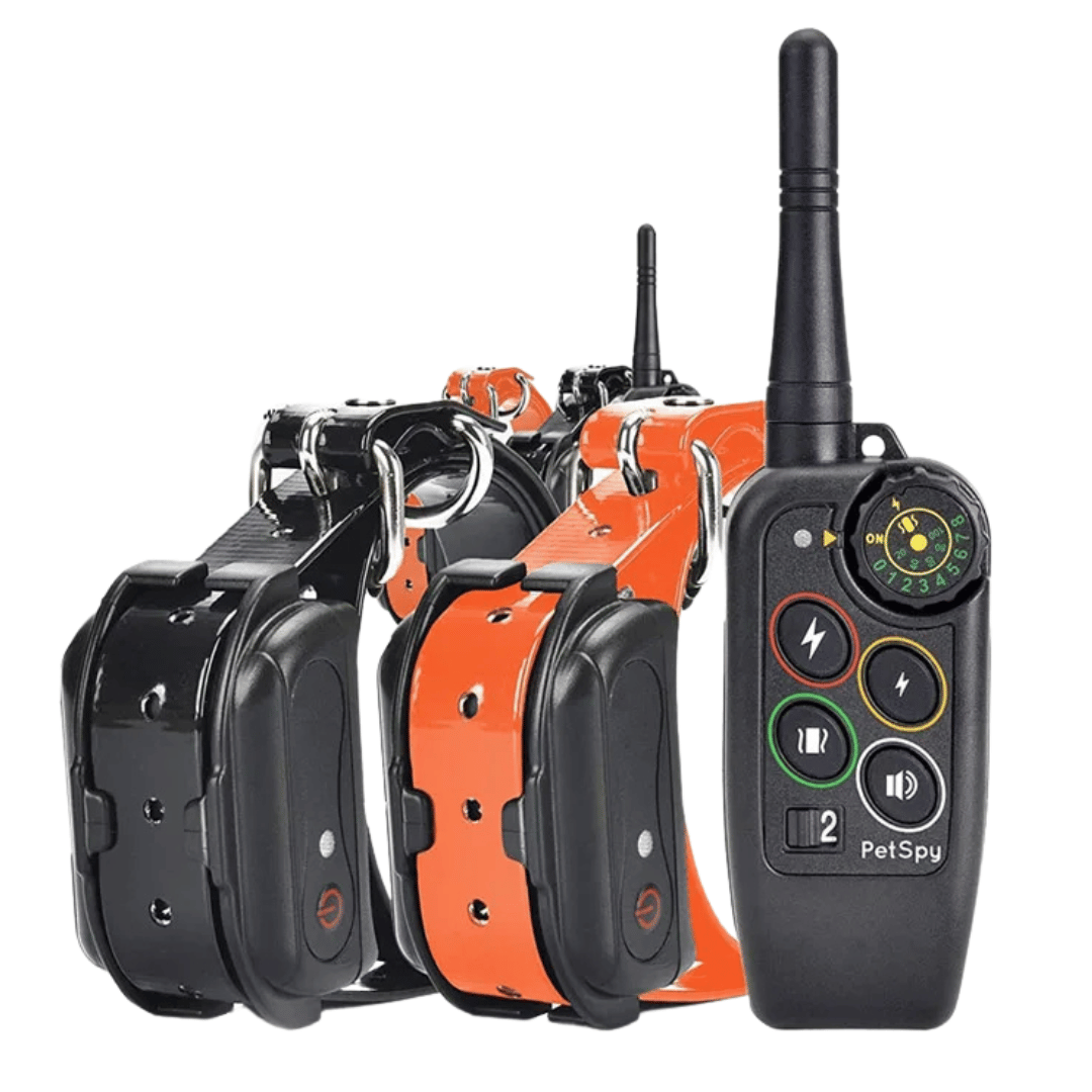 Dog Training Collar Waterproof with 1000 m Remote Range and Rechargeable Battery