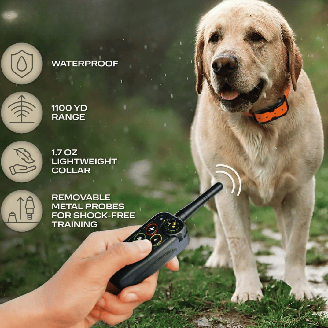 Dog Training Collar Waterproof with 1000 m Remote Range and Three Modes