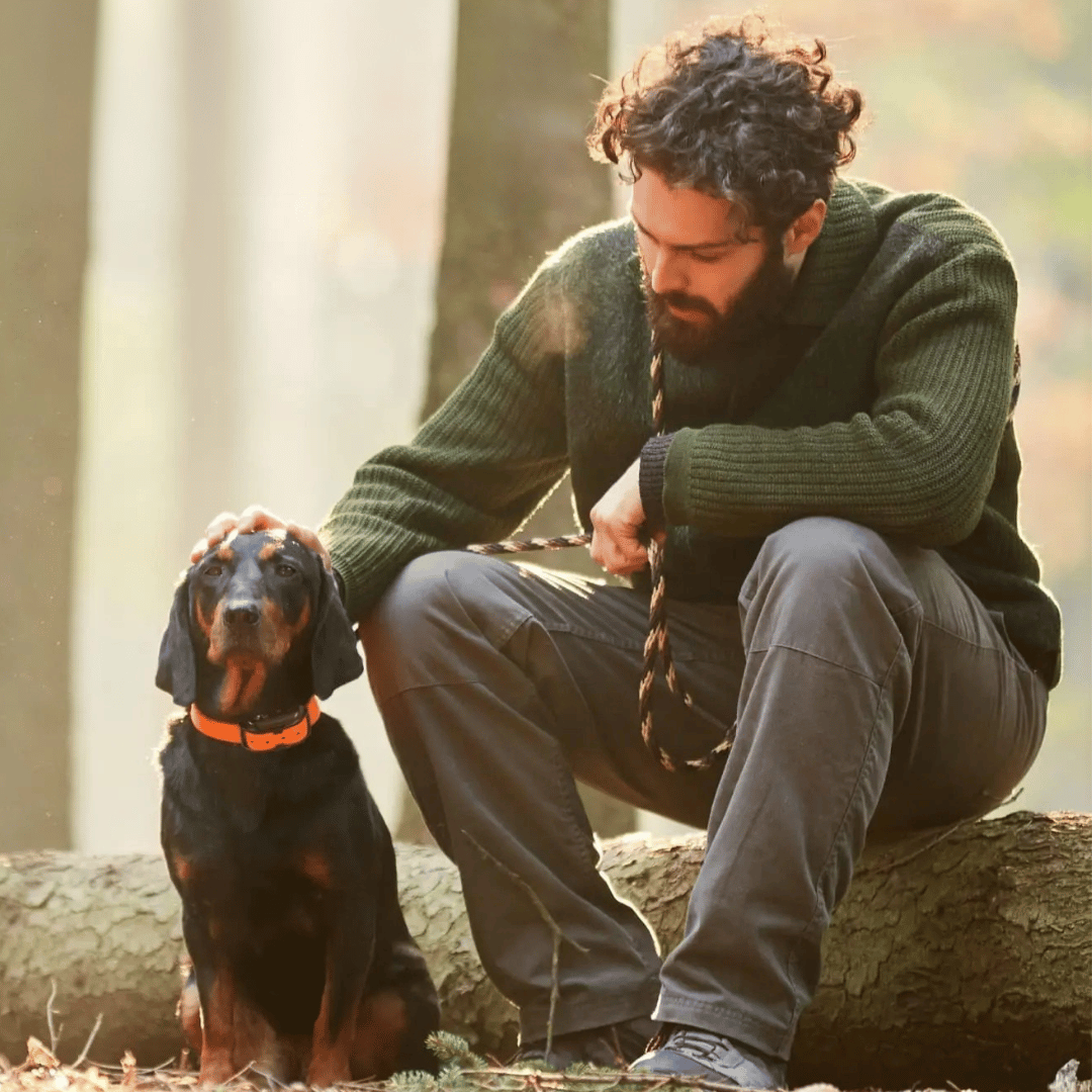 Dog Training Collar Waterproof with 1000 m Remote Range and Three Modes